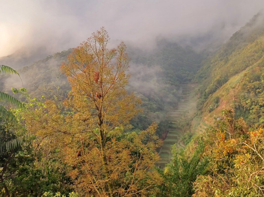 Batad Countryside