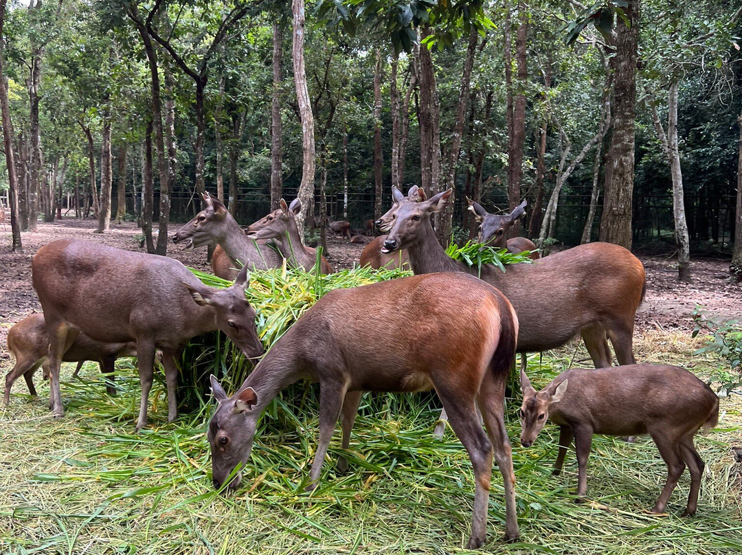 Ubon Zoo景点图片