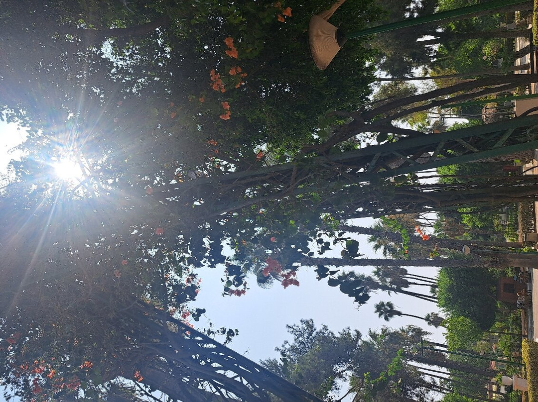 Limassol Zoo-利马索尔必去景点