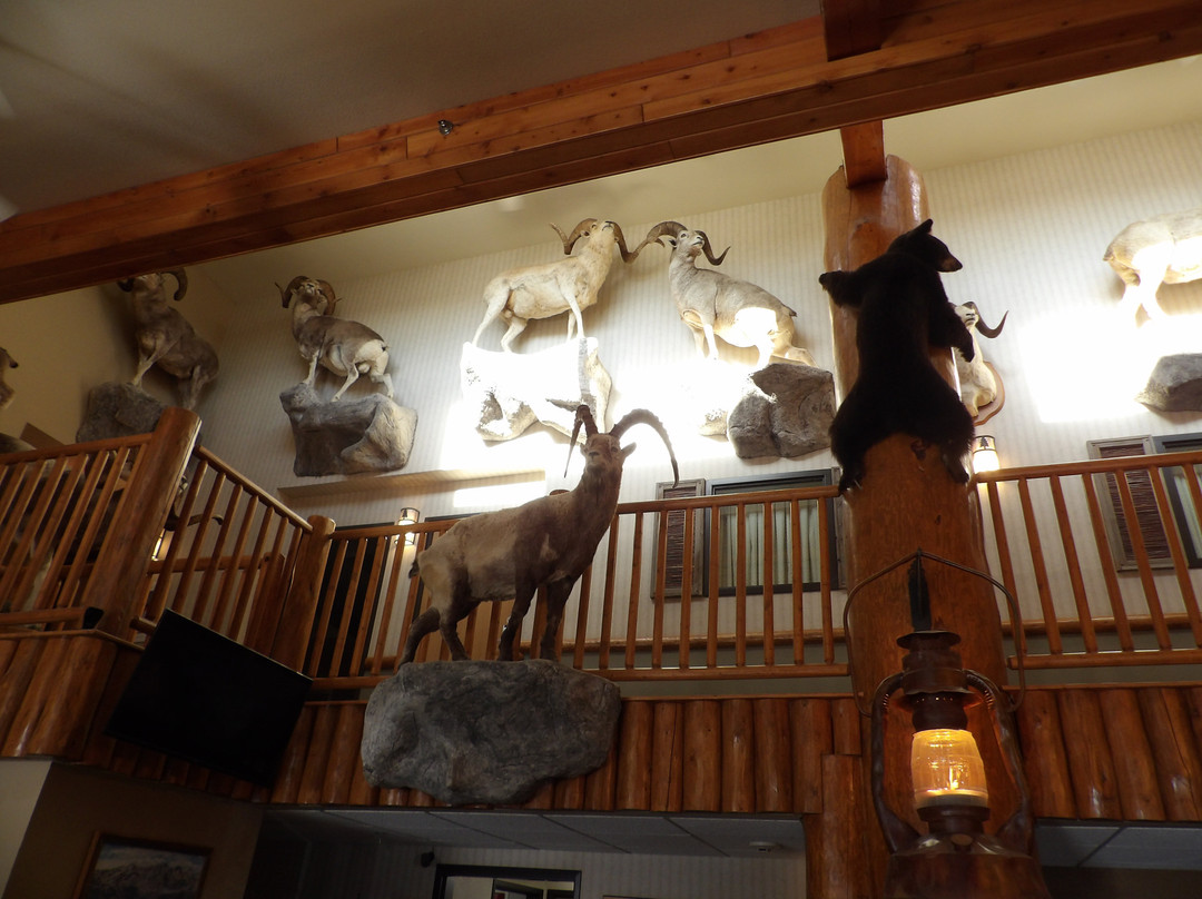 AmericInn by Wyndham Cody主图