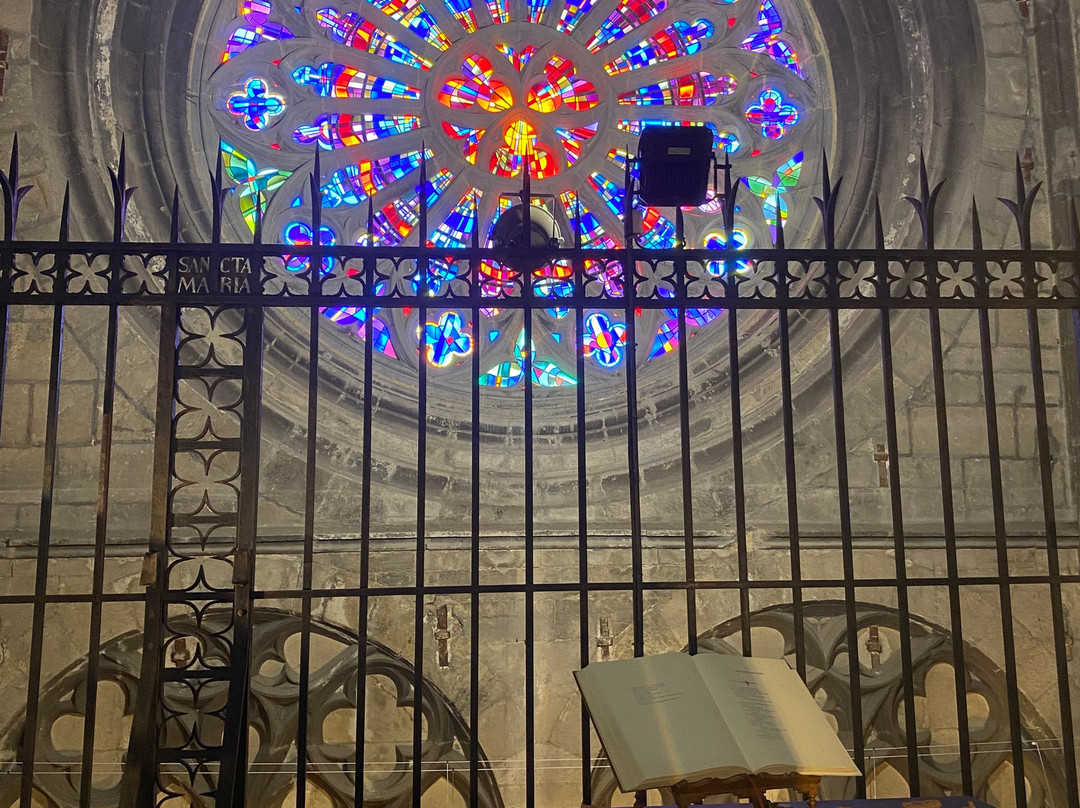 Notre-Dame-休伊必去景点