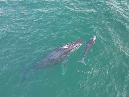 Atzmon Dagan - Safari & Diving trips, photography workshops | Photographer & filmmaker-阿鲁沙必去景点