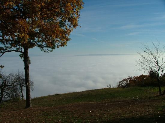 Mount Nebo State Park-Dardanelle必去景点