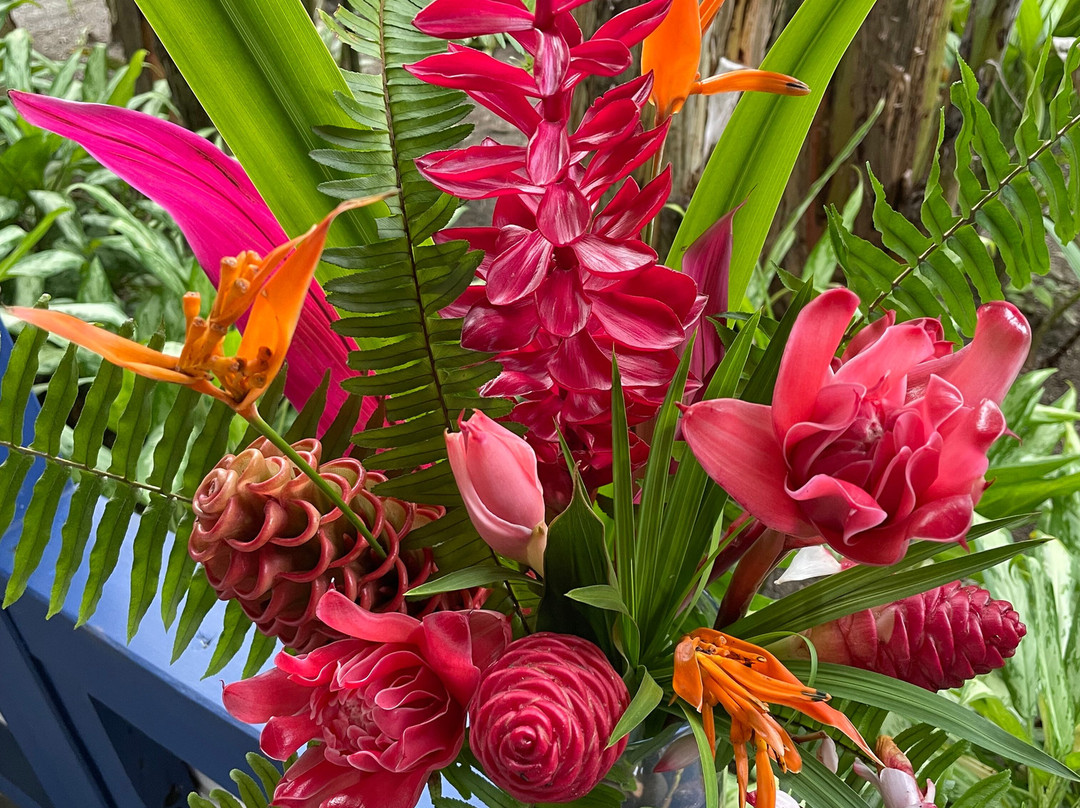 Blue Osa Yoga Retreat and Spa主图