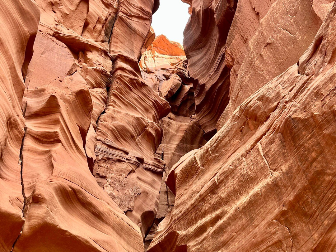 Redstone Tours-塞多纳必去景点