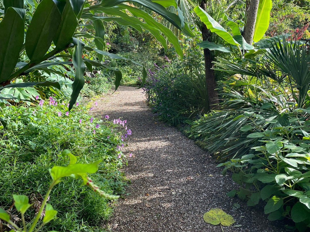 RHS Garden Rosemoor景点图片