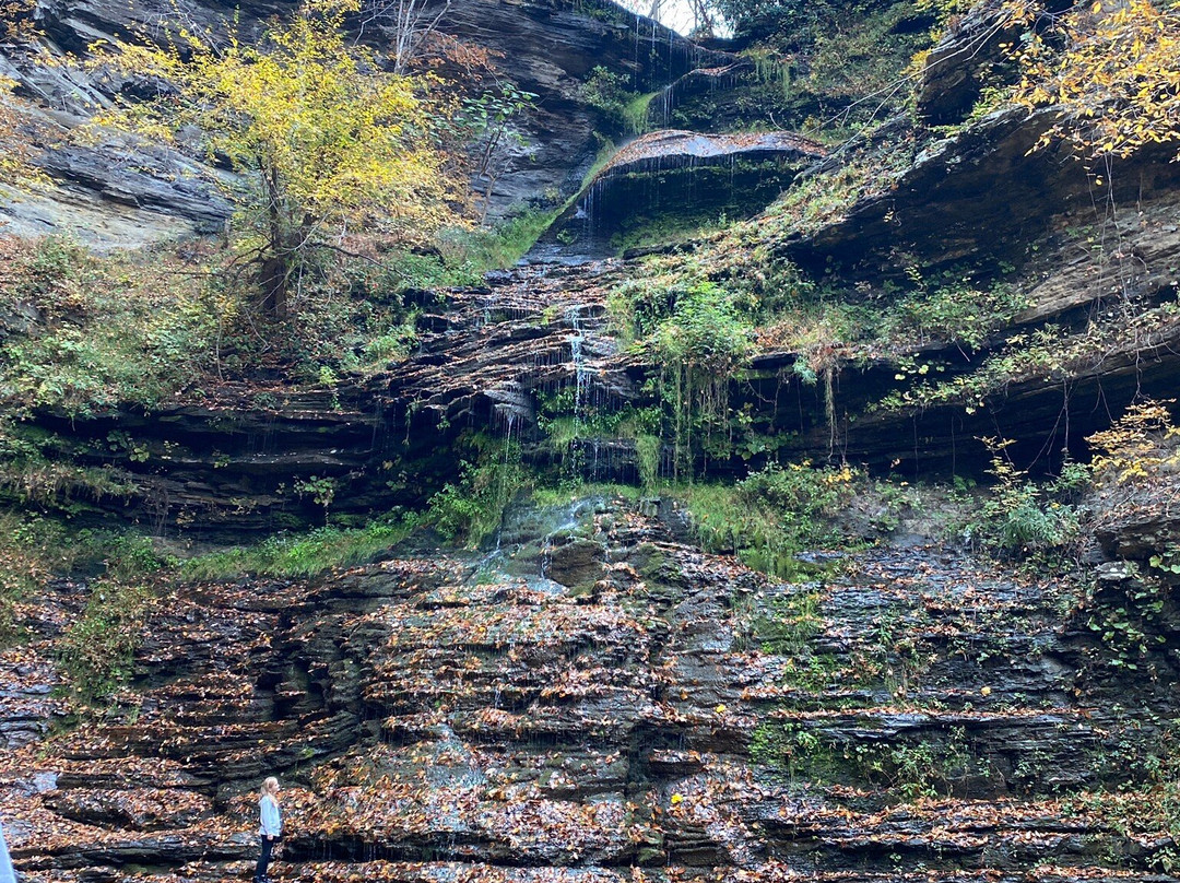 New River Gorge Bridge景点图片