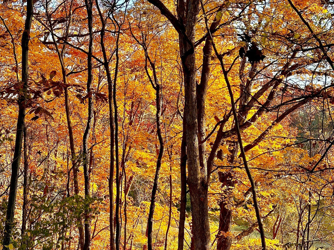 Morrison-Rockwood State Park-Morrison必去景点