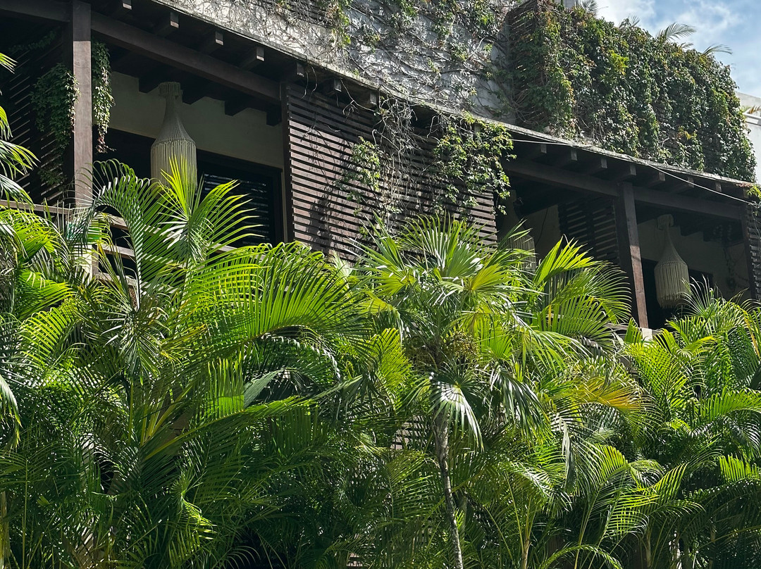 Era Hotel & Spa Tulum主图