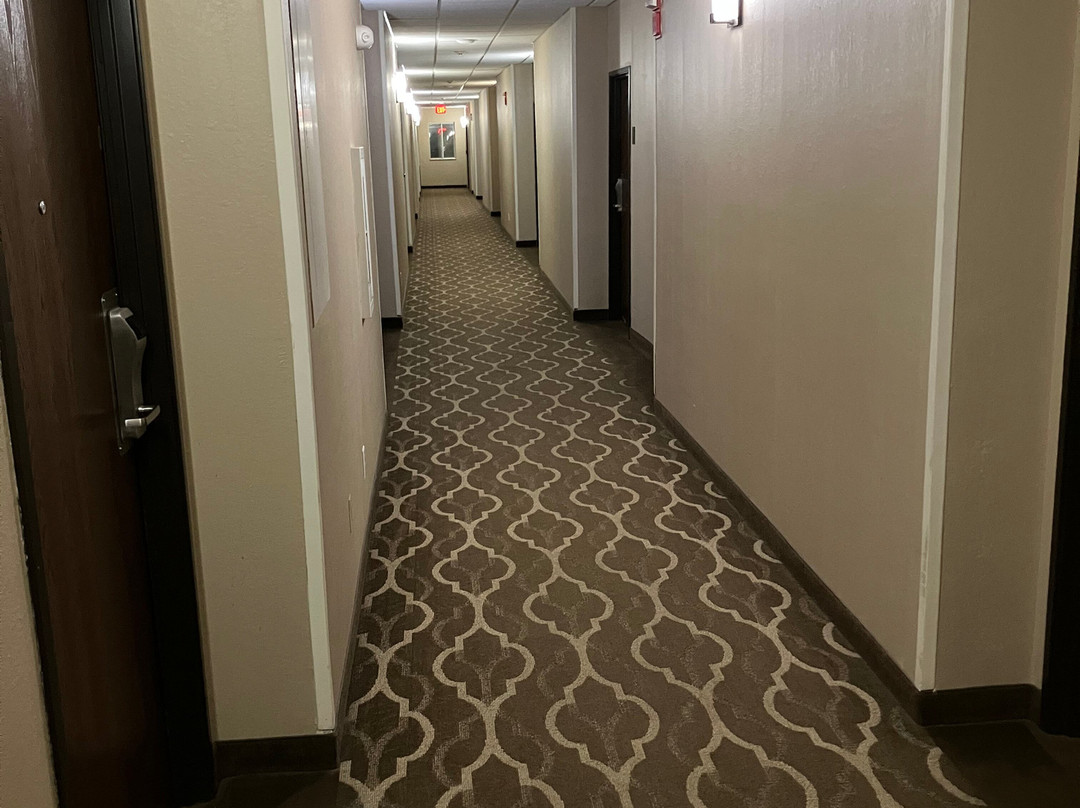 Quality Inn & Suites主图