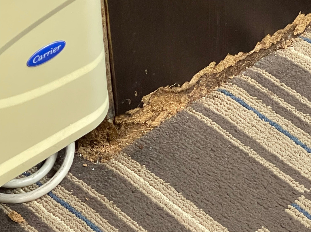 Microtel Inn & Suites by Wyndham Baton Rouge Airport主图