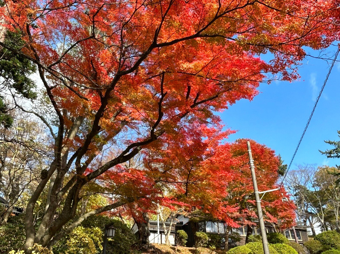 千秋公园-秋田市必去景点