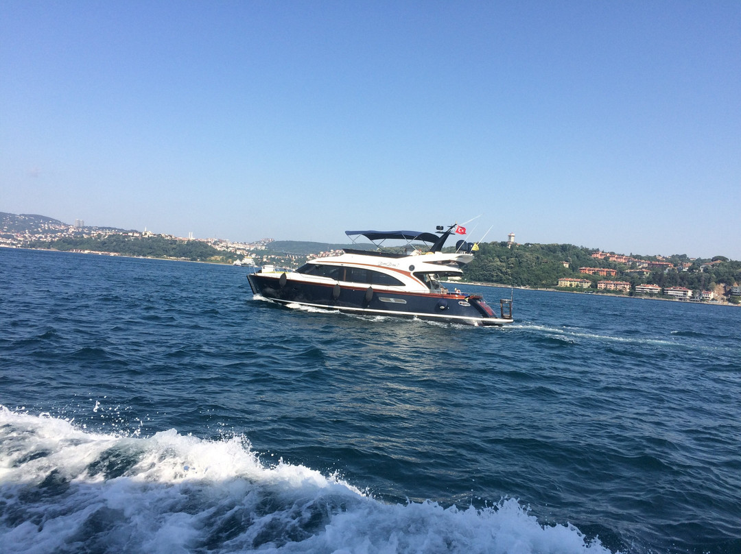Istanbul Bosphorus Cruise-伊斯坦布尔必去景点