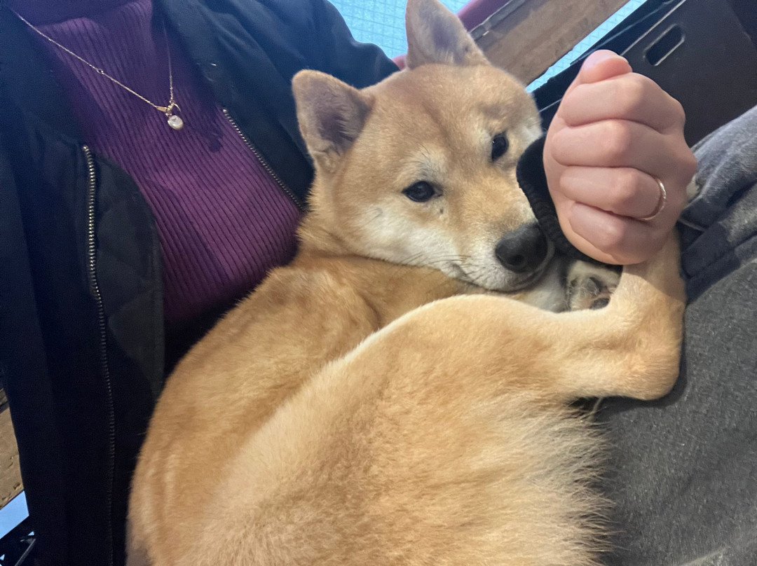 Cafe Ryoma-京都市必去景点