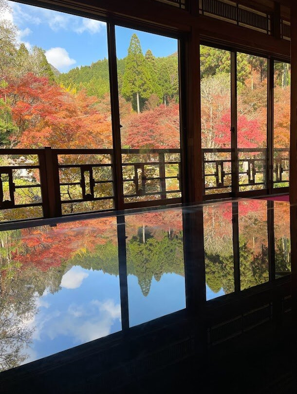 Kankyo Geijutsu no Mori-唐津市必去景点