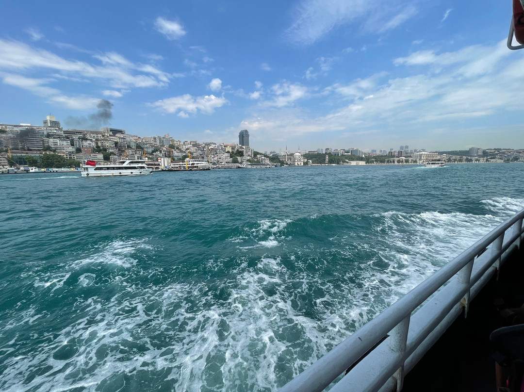 Istanbul Bosphorus Cruise-伊斯坦布尔必去景点