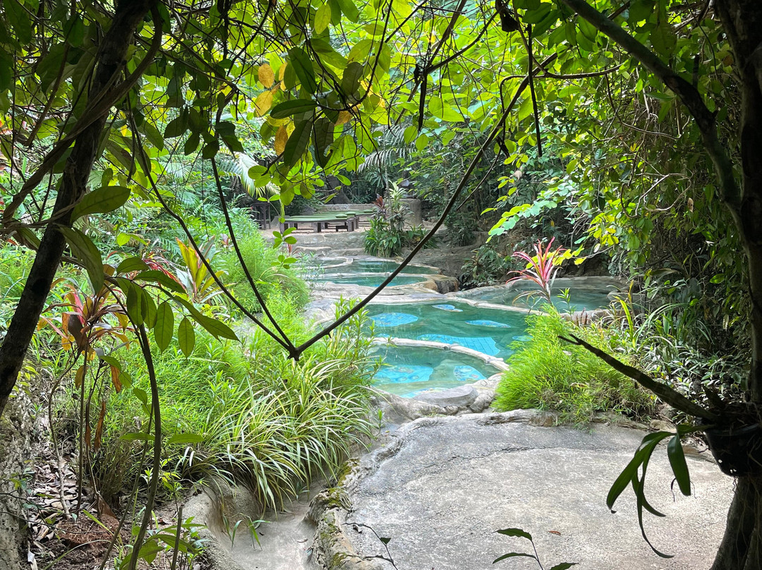 Wareerak Hot Spring & Wellness景点图片