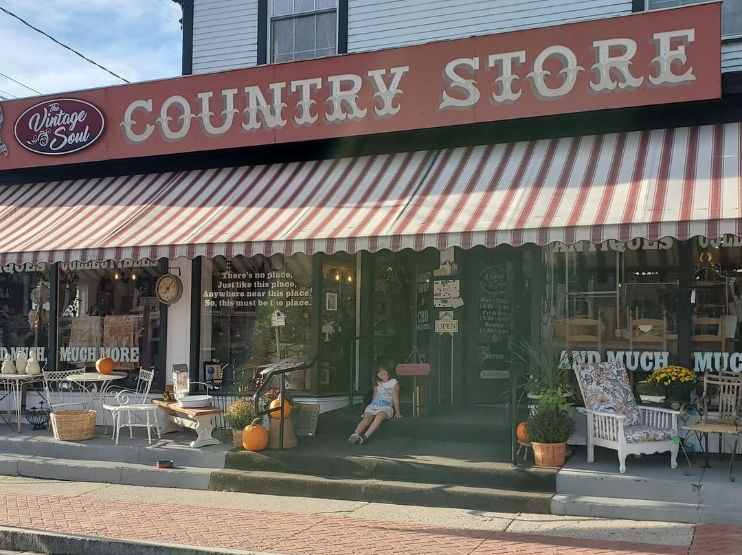 The Vintage Soul at The Old Country Store Of Manchester