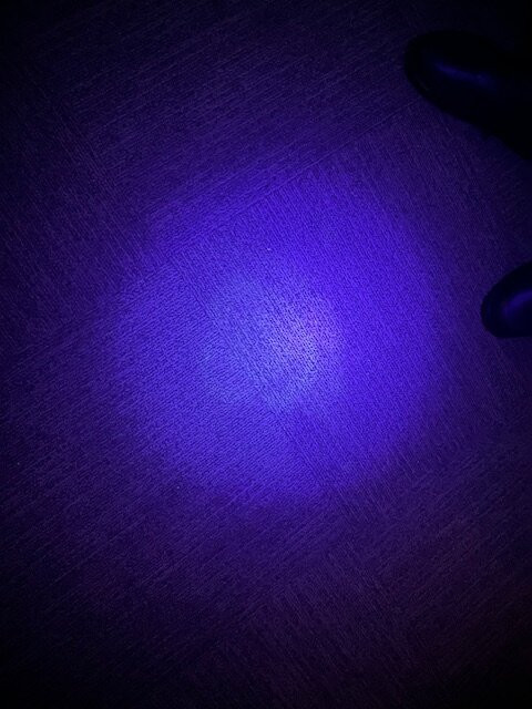 Hampton Inn & Suites Boone主图