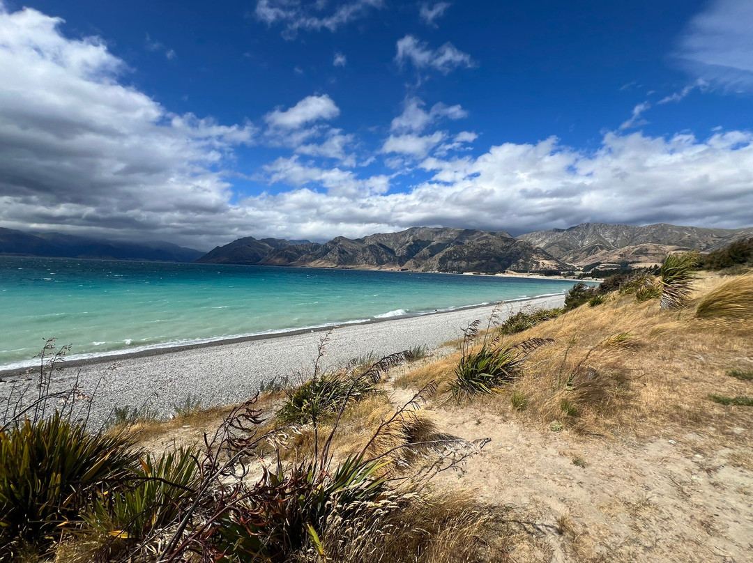 Lake Hawea-Lake Hawea必去景点