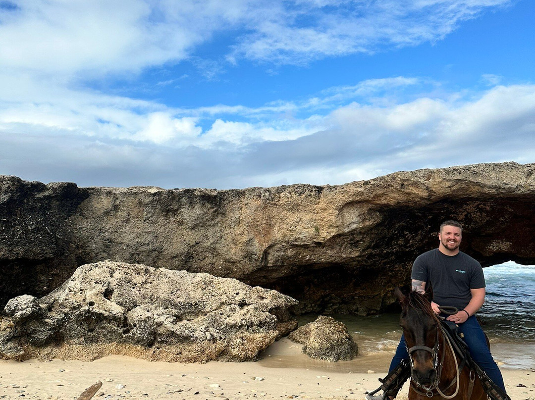 ArubaHorseTour-Paradera必去景点