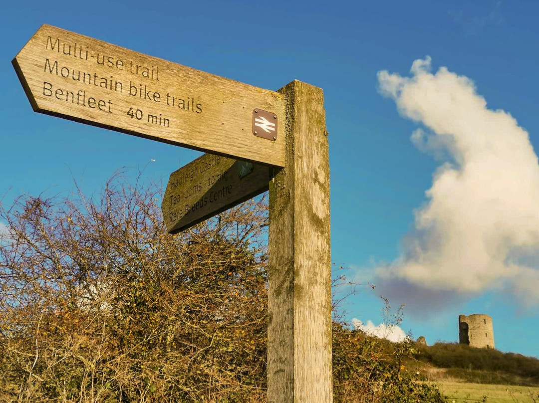 Hadleigh Castle景点图片