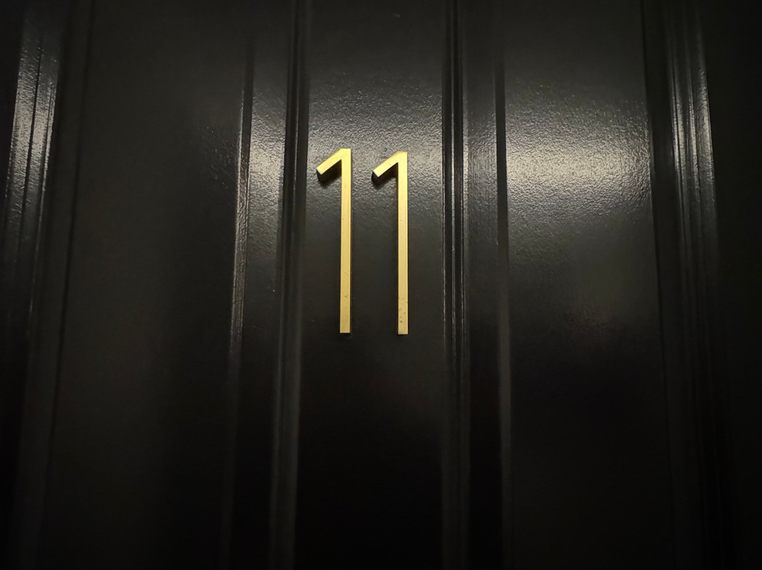 American Beech主图