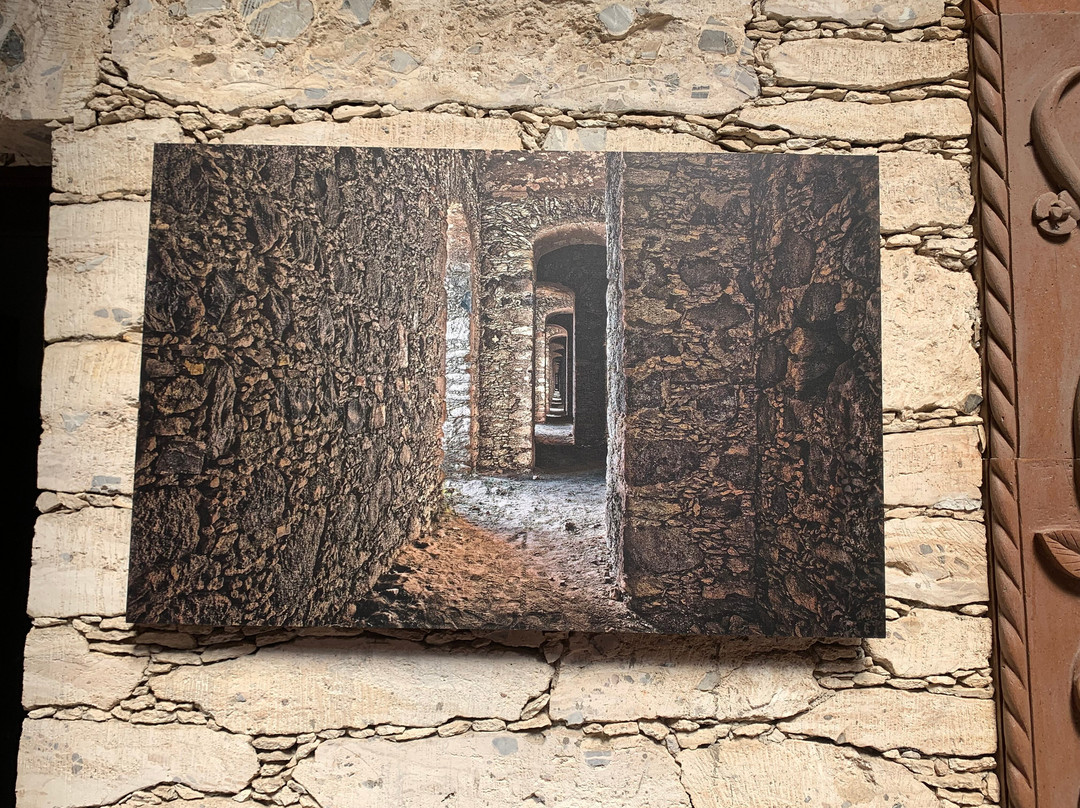 Hotel La Villa De Pozos主图