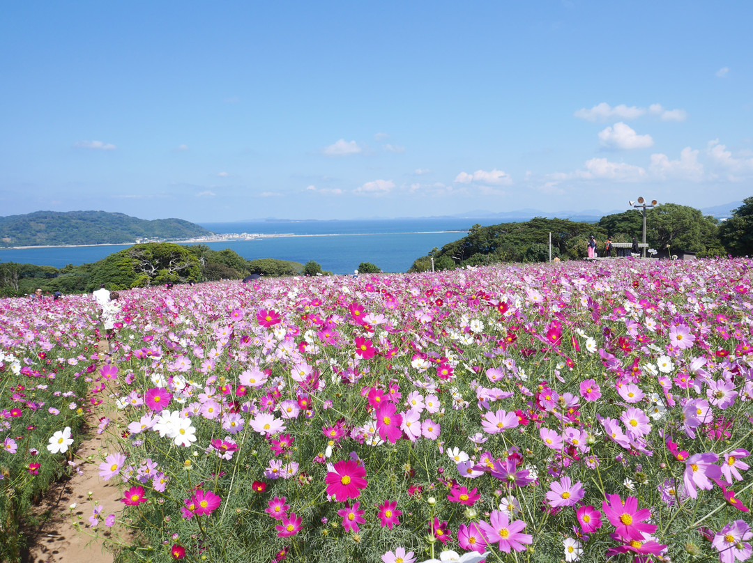 Nokonoshima Island Park-Nokonoshima必去景点