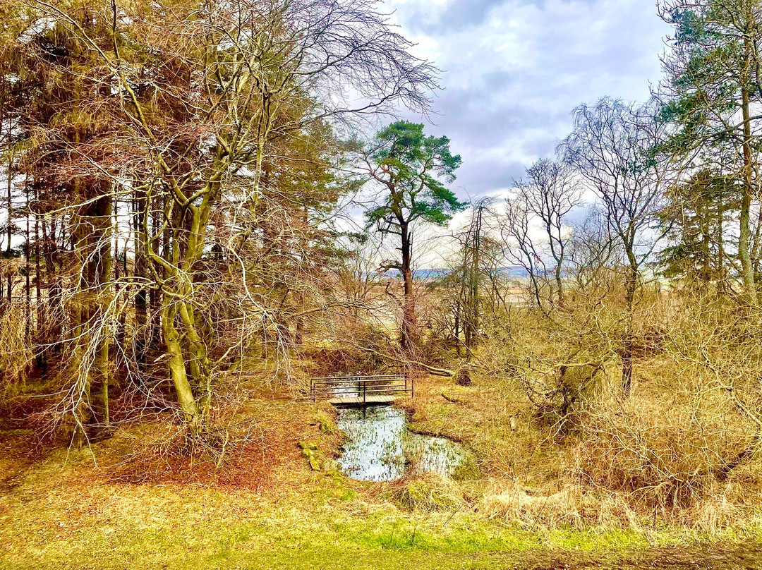 Clatto Country Park-敦提必去景点