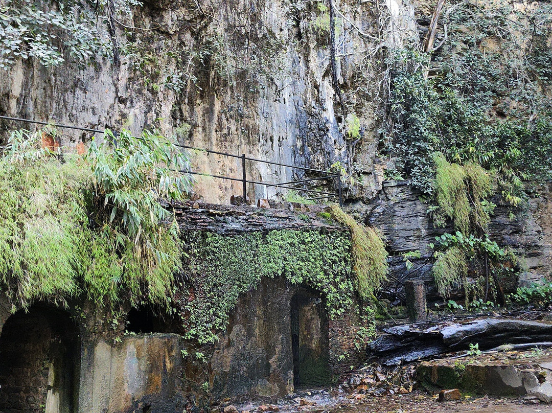 Pandav Falls and Caves景点图片