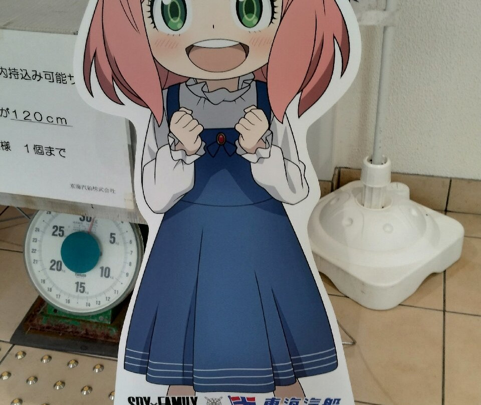 Niijima Tourist Association-新岛村必去景点