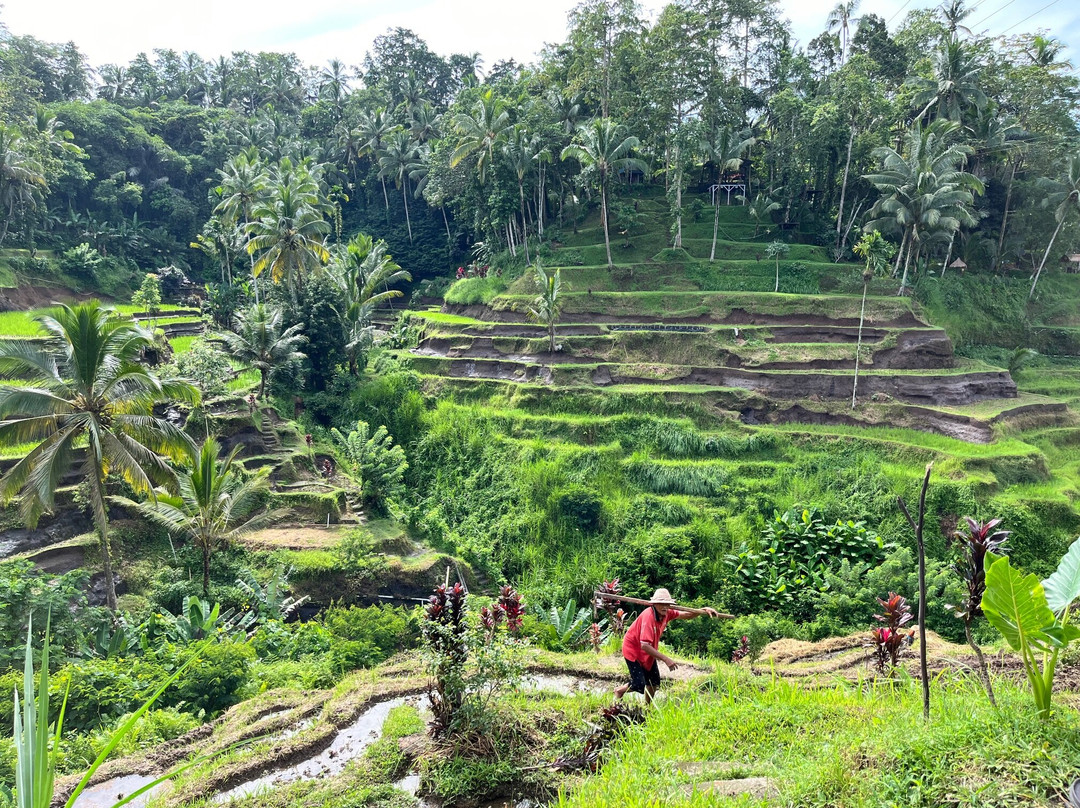 Exo Travel Indonesia-沙努尔必去景点