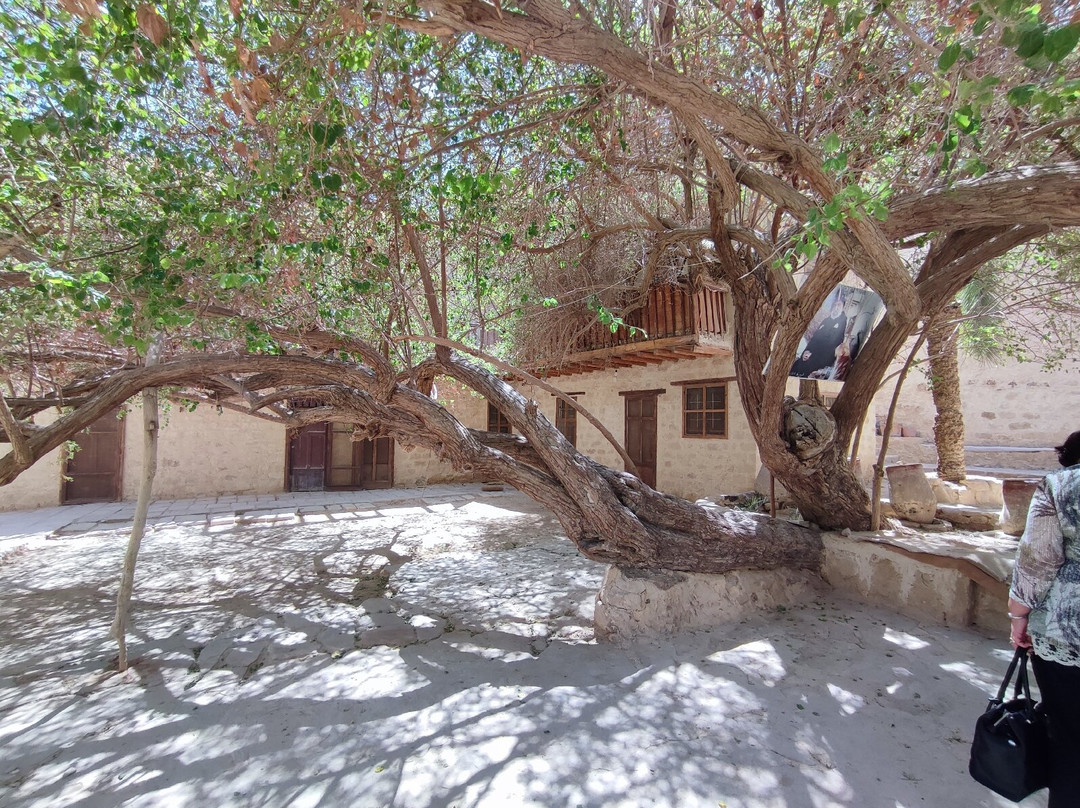 Monastery of Saint Paul the Anchorite-Ras Gharib必去景点