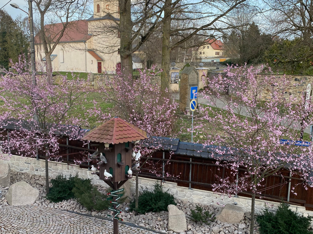 Landhotel Zum Gruenen Baum主图