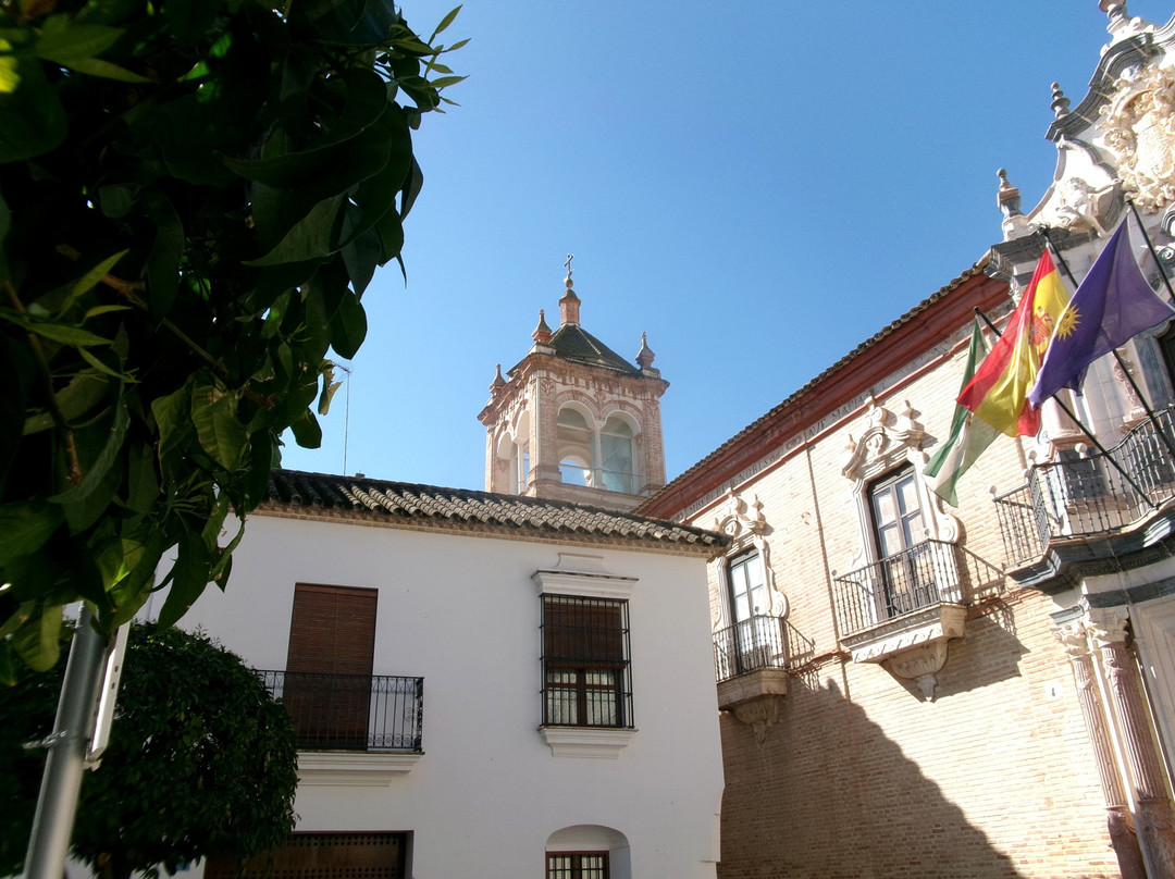 Museo Histórico Municipal de Écija景点图片