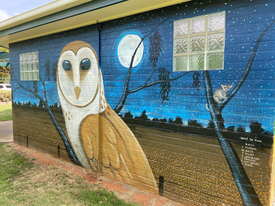 Katamatite Cr Wood Playground-Katamatite必去景点