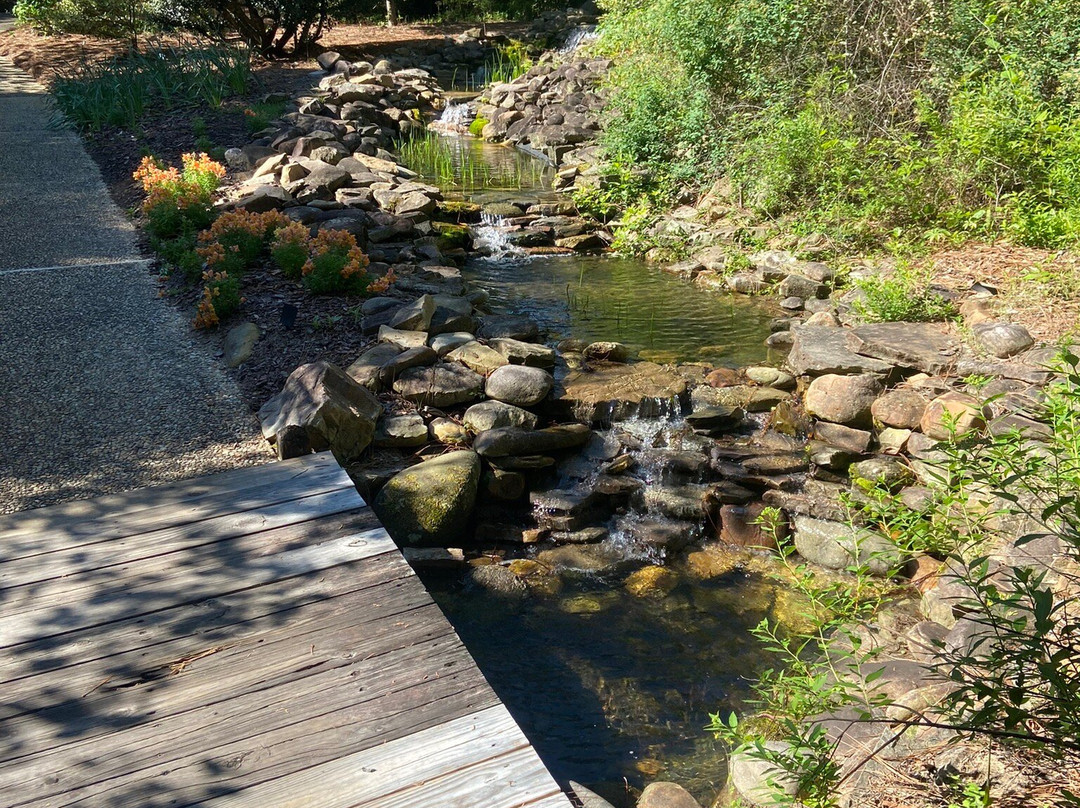 Sandhills Horticultural Gardens景点图片