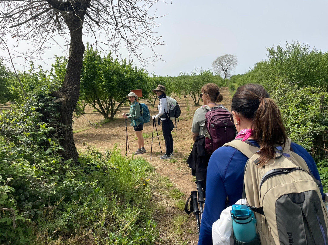 Sara Testi, Tour Guide景点图片