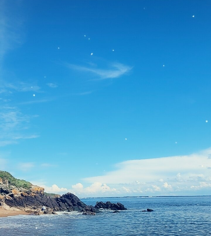 Plage De Monsieur Hulot景点图片