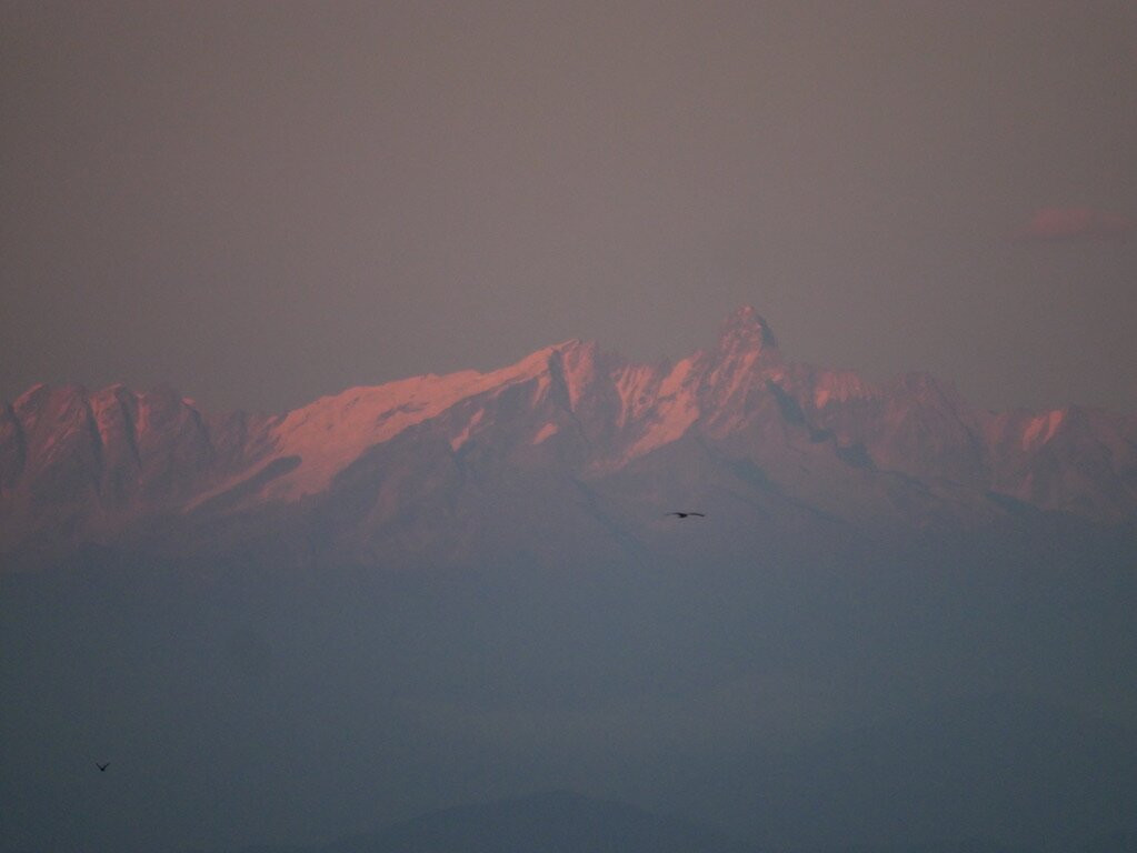 Innate Pension主图