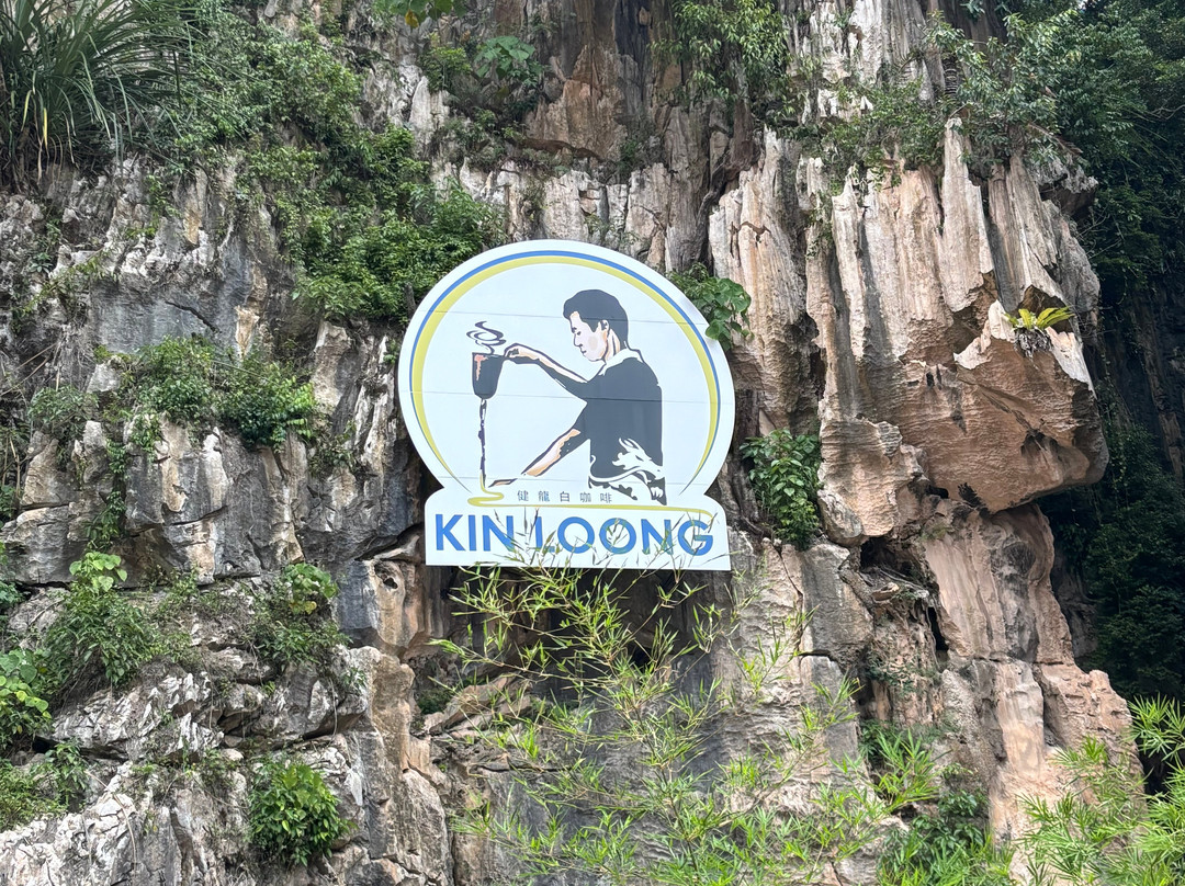 Saiful KL Taxi Tour-吉隆坡必去景点