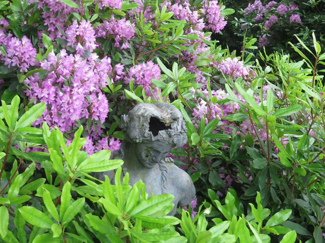 Jardin de la Duchaylatiere景点图片