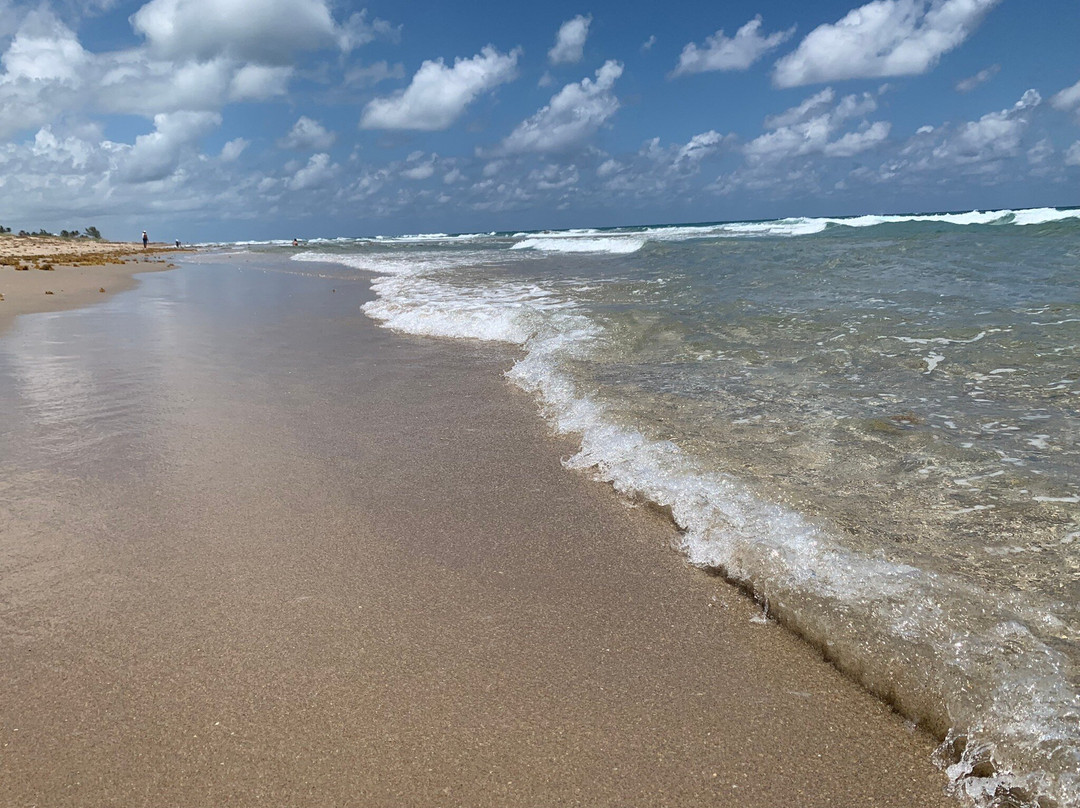 Delray Municipal Beach-德拉海滩必去景点