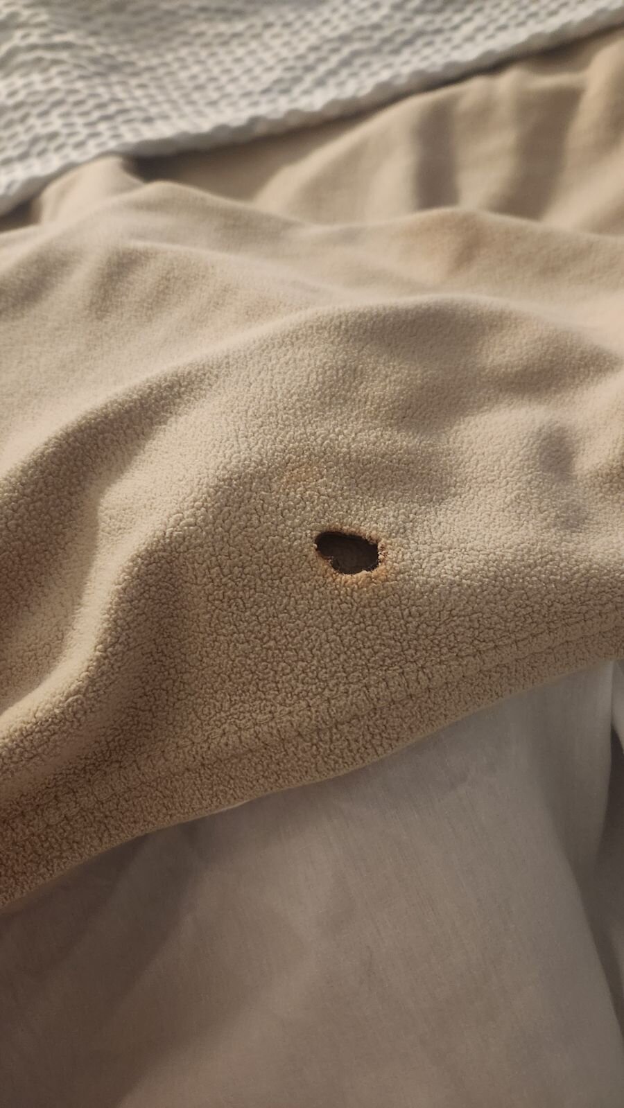 Motel 6 Albuquerque, NM - North-官方