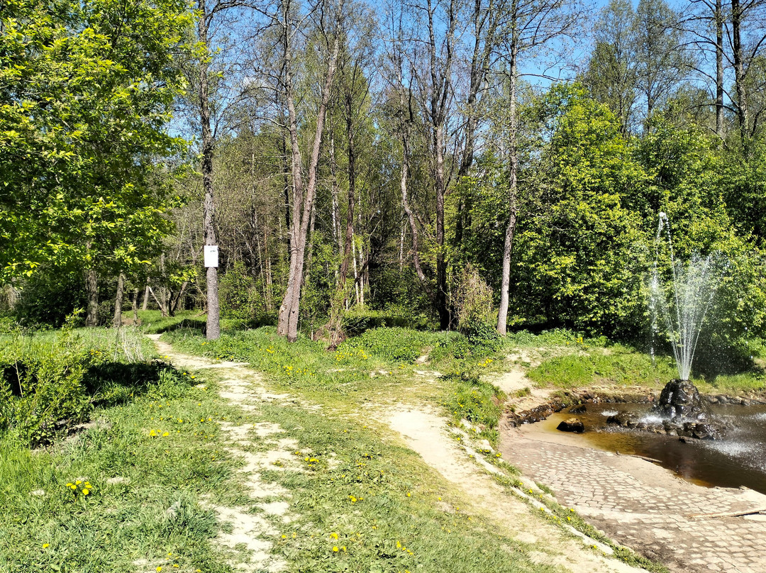 Natural Fountain景点图片