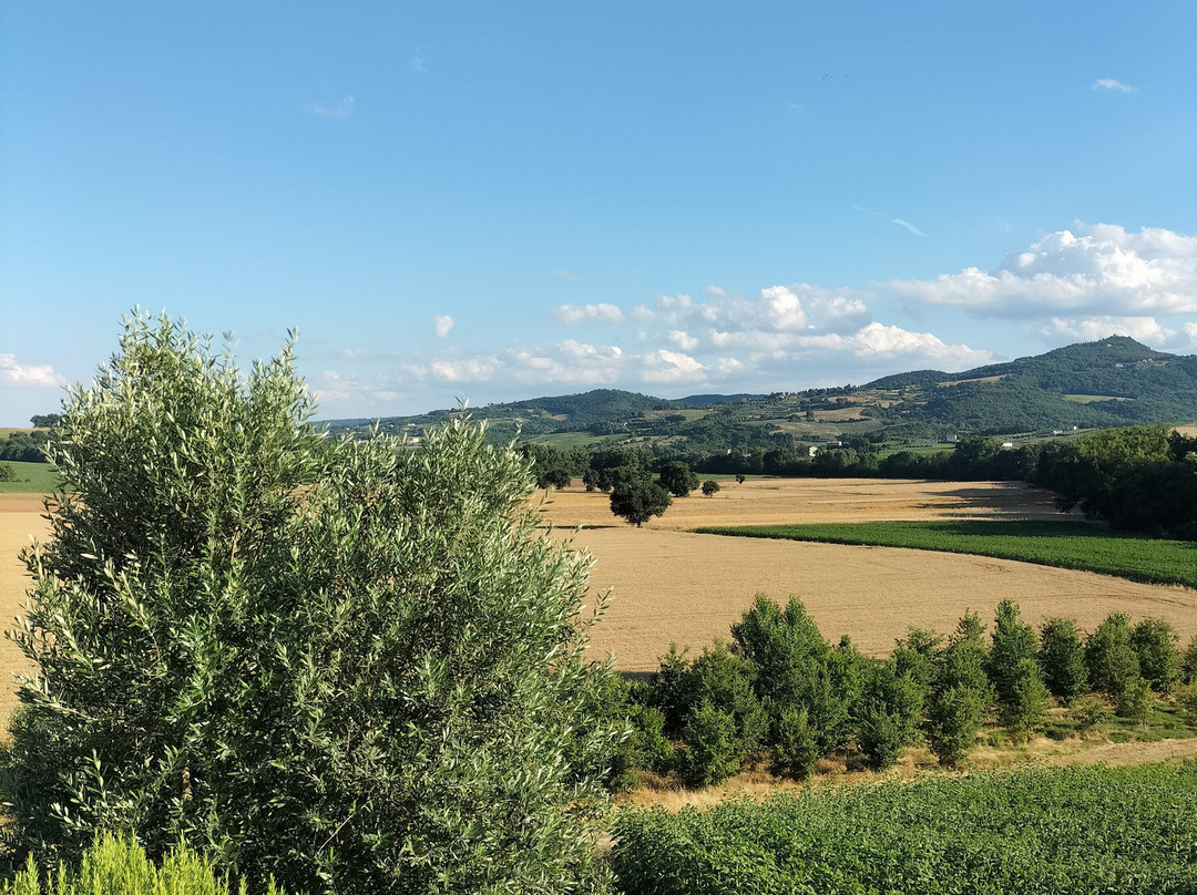 Agriturismo San Silvestro主图