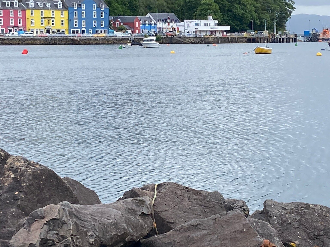 Park Lodge Hotel主图