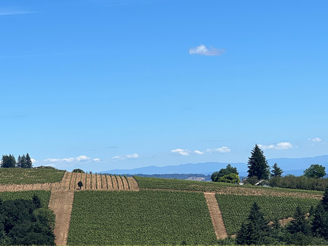 Knudsen Vineyards-Dundee必去景点