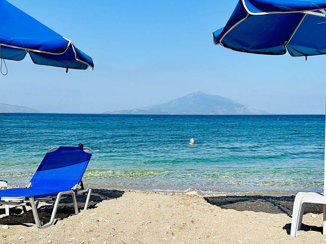 Hotel Rania Beach主图